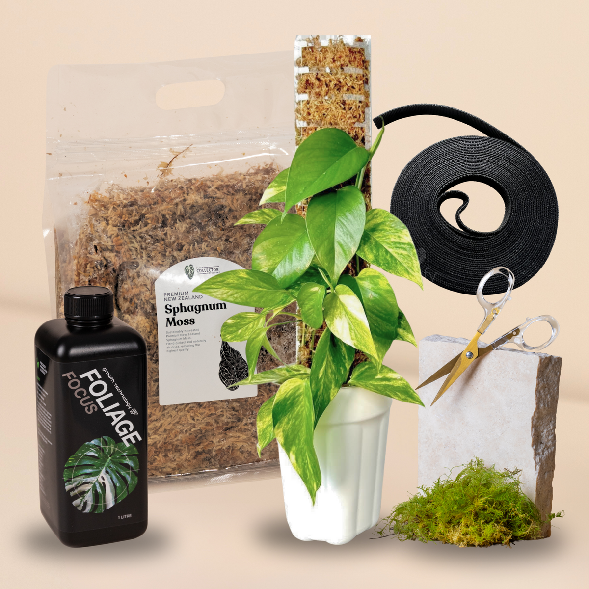 moss pole nz PCM Moss Pole Essentials Kit – Plant Collector Melbourne