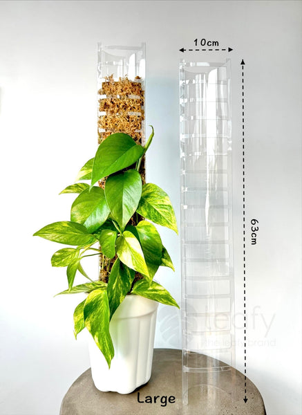 moss pole australia leafy™ Moss Pole 3.0 (NEW) – Plant Collector Melbourne